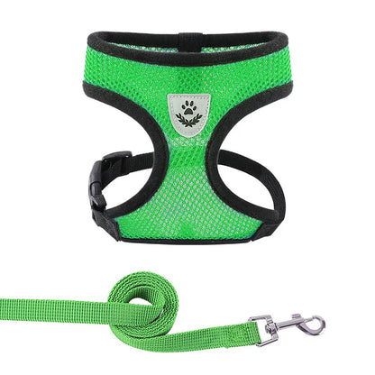 EaseFit Harness & Leash – No-Pull & Modern
