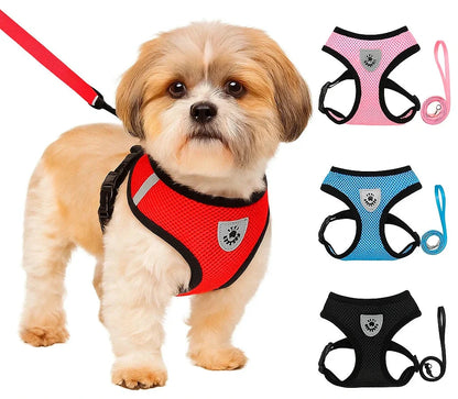 EaseFit Harness & Leash – No-Pull & Modern