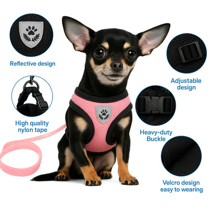 EaseFit Harness & Leash – No-Pull & Modern