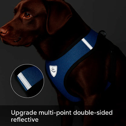 EaseFit Harness & Leash – No-Pull & Modern